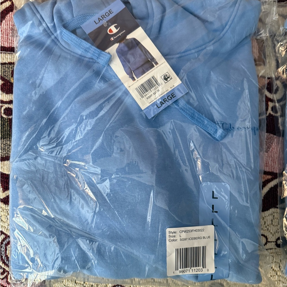 Champion Soft Blue Hoodie